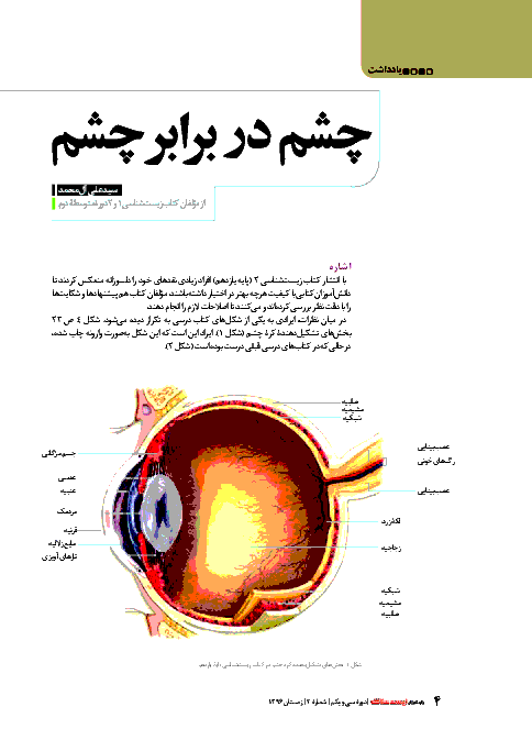 مقاله چشم در برابر چشم برای بررسی اشکال تصویر چشم در کتاب درسی زیست شناسی (2) پایه یازدهم 