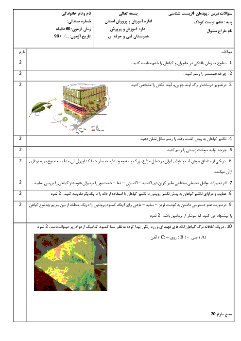 آزمون پودمان چهارم زیست شناسی دهم | فصل 4: گیاهان با پاسخ 