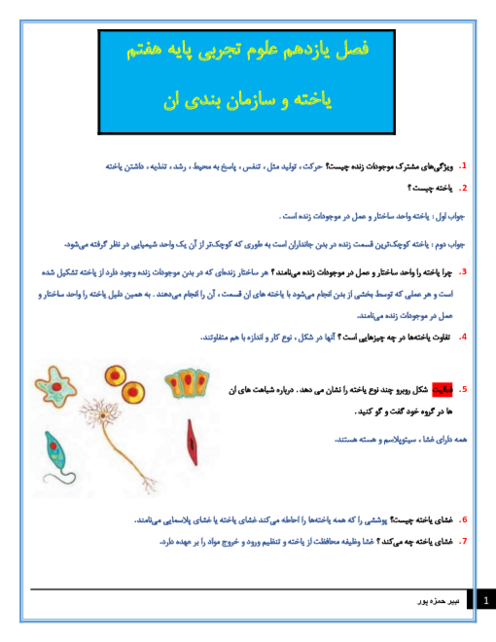 سوالات متن درس علوم تجربی هفتم با جواب | فصل 11: یاخته و سازمانبندی آن
