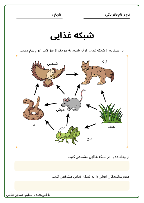کاربرگ شبکه غذایی | علوم چهارم