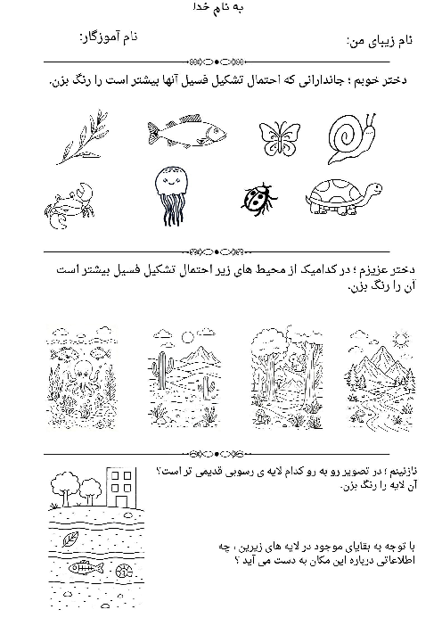 کاربرگ فسیل