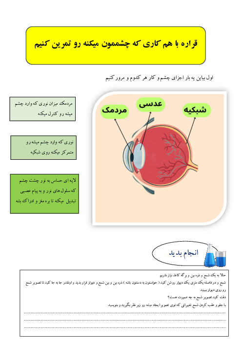 کاربرگ تلفیقی درس3 و 6 علوم پنجم دبستان | آناتومی چشم و دیدن تصاویر