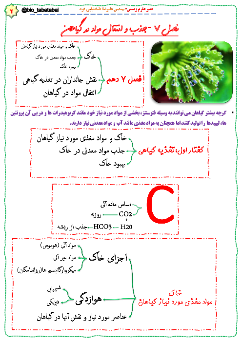 مایند مپ (نمودار درختی) زیست شناسی (1) دهم |  فصل 7: جذب و انتقال مواد در گیاهان
