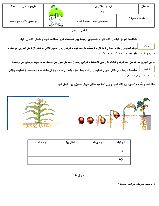 آزمون عملکردی درس 11 علوم تجربی سوم دبستان جام | شناخت انواع گیاهان دانه دار 