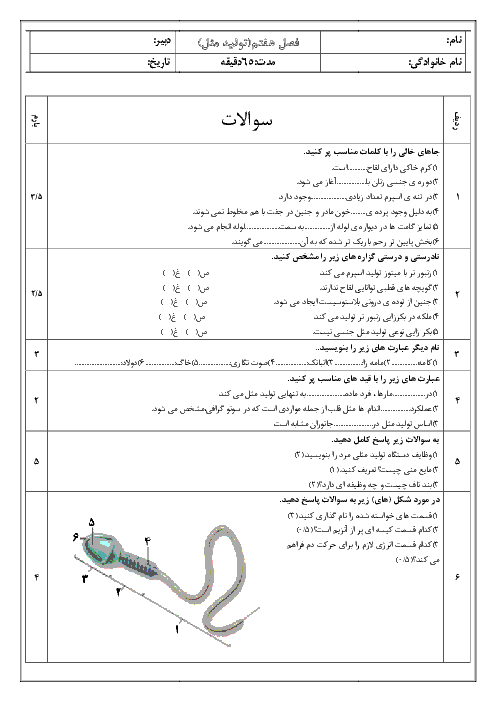 نمونه سوالات امتحانی زیست شناسی (2) یازدهم |  فصل هفتم: تولید مثل