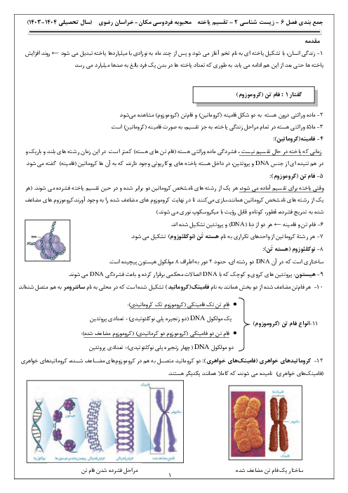 نکات درسی فصل ششم زیست شناسی یازدهم | تقسیم یاخته