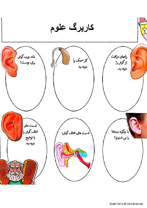کاربرگ درس 6 علوم پنجم | گوش و شنوایی