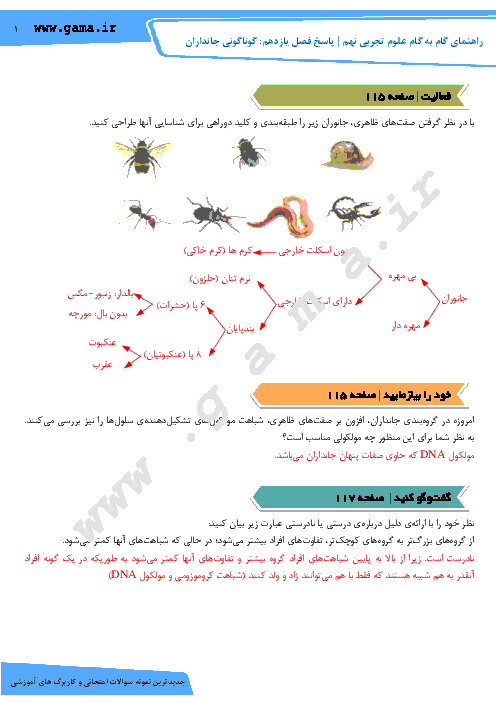 راهنمای گام به گام علوم تجربی نهم | فصل یازدهم: گوناگونی جانداران