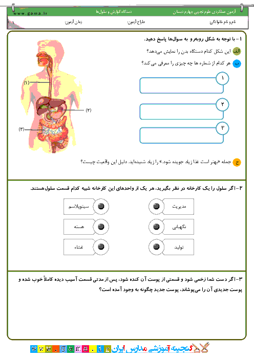 آزمون عملكردی علوم تجربی چهارم دبستان | درس 9 و 10: بدن ما (1) و (2)