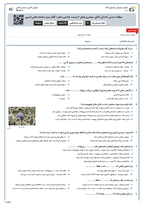 سوالات تستی آمادگی کنکور سراسری فصل 6 زیست شناسی دهم | گفتار دوم: سامانه بافتی (سری A)