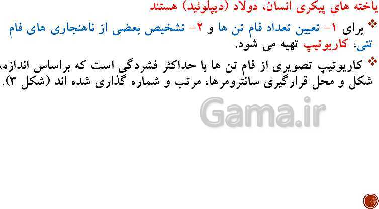 پاورپوینت تدریس زیست شناسی (2) یازدهم تجربی | فصل 6: تقسیم یاخته (گفتار 1 تا 3)- پیش نمایش