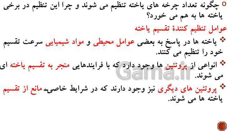 پاورپوینت تدریس زیست شناسی (2) یازدهم تجربی | فصل 6: تقسیم یاخته (گفتار 1 تا 3)- پیش نمایش
