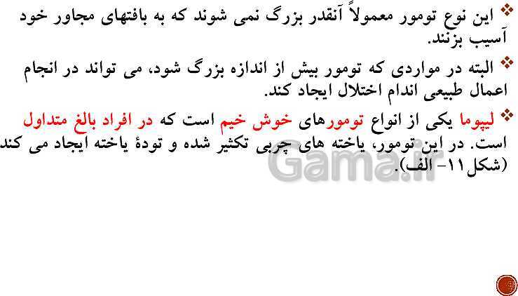 پاورپوینت تدریس زیست شناسی (2) یازدهم تجربی | فصل 6: تقسیم یاخته (گفتار 1 تا 3)- پیش نمایش