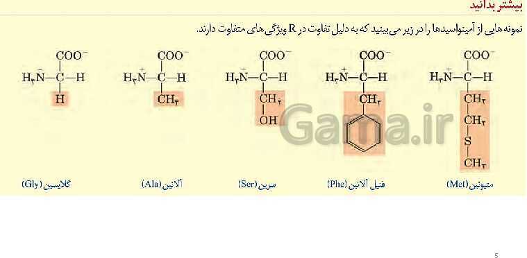 پاورپوینت زیست 3 | ساختار و سطوح آمینواسیدها - پیش نمایش