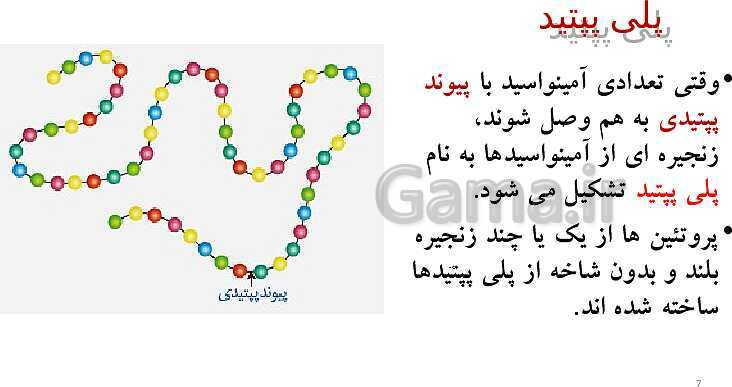 پاورپوینت زیست 3 | ساختار و سطوح آمینواسیدها - پیش نمایش