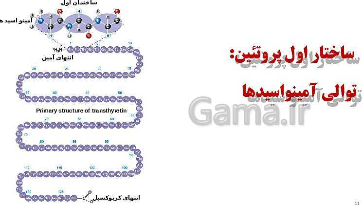پاورپوینت زیست 3 | ساختار و سطوح آمینواسیدها - پیش نمایش