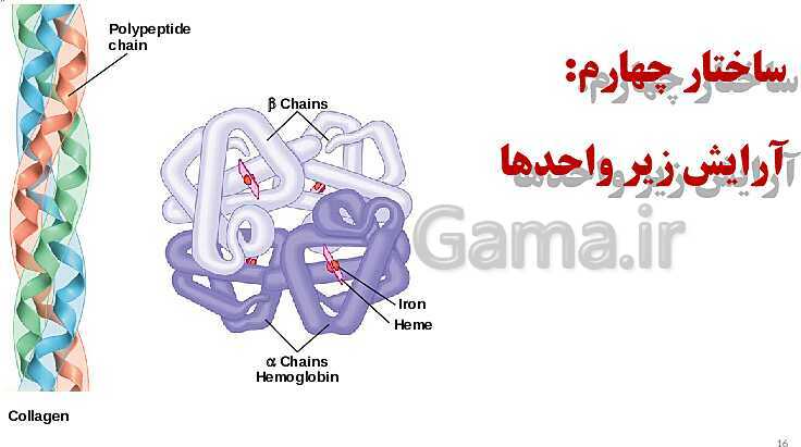 پاورپوینت زیست 3 | ساختار و سطوح آمینواسیدها - پیش نمایش