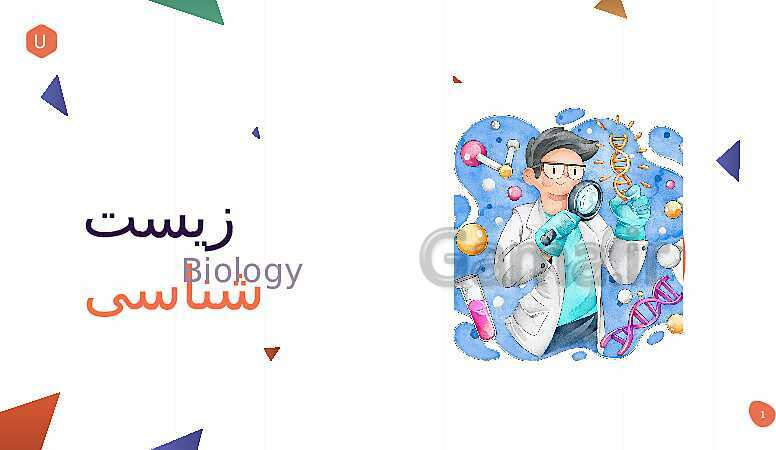 پاورپوینت آموزش روش مطالعه و تست زنی دروس زیست، شیمی، فیزیک و ریاضی- پیش نمایش