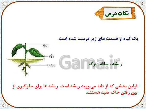 پاورپوینت علوم تجربی سوم دبستان | درس 11: بکارید و ببینید- پیش نمایش