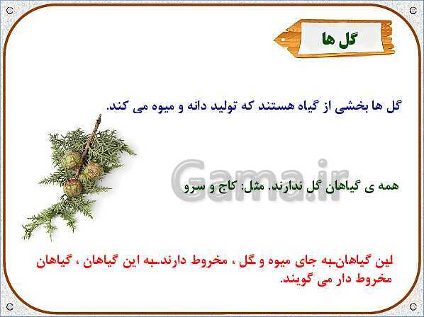 پاورپوینت علوم تجربی سوم دبستان | درس 11: بکارید و ببینید- پیش نمایش