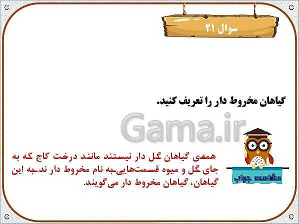 پاورپوینت علوم تجربی سوم دبستان | درس 11: بکارید و ببینید- پیش نمایش