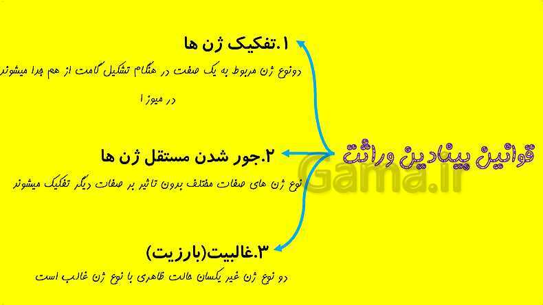 پاورپوینت آموزش کتاب درسی زیست شناسی دوازدهم | فصل 3: انتقال اطلاعات در نسل ها- پیش نمایش
