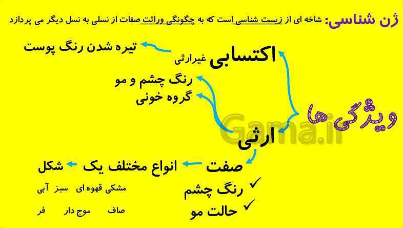 پاورپوینت آموزش کتاب درسی زیست شناسی دوازدهم | فصل 3: انتقال اطلاعات در نسل ها- پیش نمایش