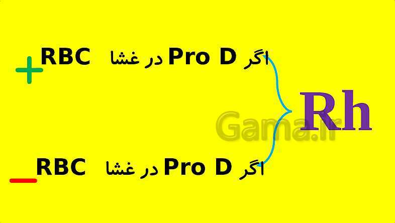 پاورپوینت آموزش کتاب درسی زیست شناسی دوازدهم | فصل 3: انتقال اطلاعات در نسل ها- پیش نمایش