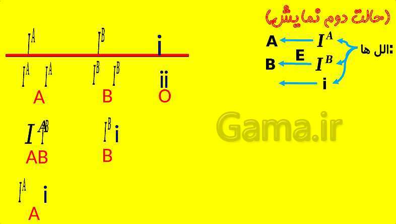 پاورپوینت آموزش کتاب درسی زیست شناسی دوازدهم | فصل 3: انتقال اطلاعات در نسل ها- پیش نمایش