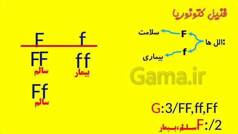 پاورپوینت آموزش کتاب درسی زیست شناسی دوازدهم | فصل 3: انتقال اطلاعات در نسل ها- پیش نمایش
