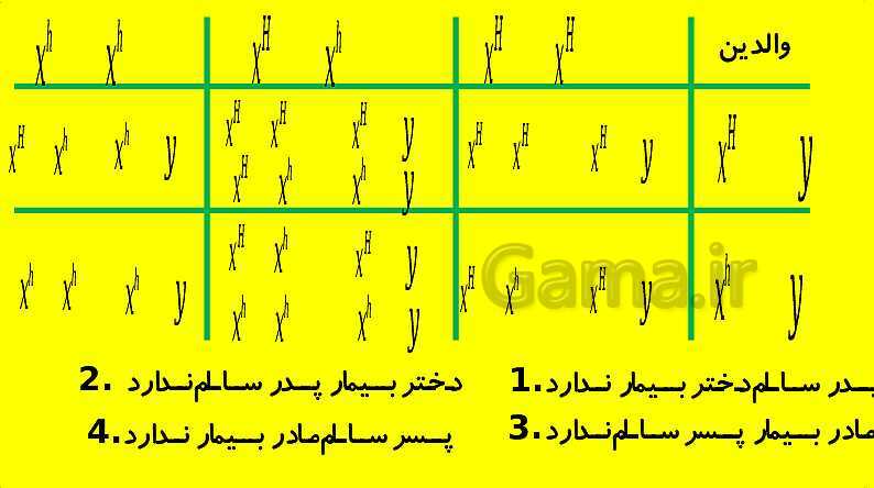 پاورپوینت آموزش کتاب درسی زیست شناسی دوازدهم | فصل 3: انتقال اطلاعات در نسل ها- پیش نمایش