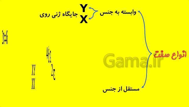 پاورپوینت آموزش کتاب درسی زیست شناسی دوازدهم | فصل 3: انتقال اطلاعات در نسل ها- پیش نمایش