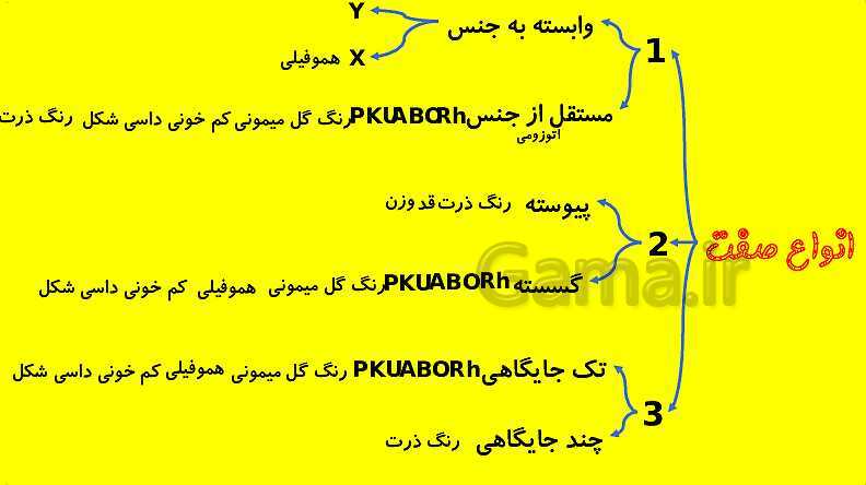 پاورپوینت آموزش کتاب درسی زیست شناسی دوازدهم | فصل 3: انتقال اطلاعات در نسل ها- پیش نمایش