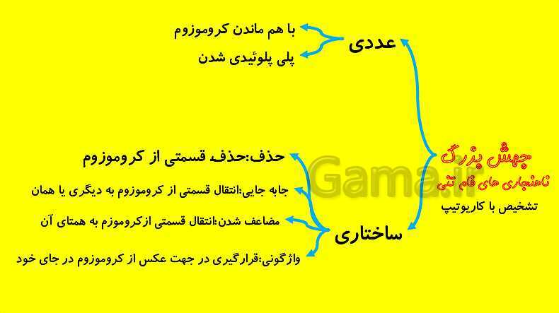 پاورپوینت آموزش کتاب درسی زیست شناسی دوازدهم | فصل 4: تغییر در اطلاعات وراثتی- پیش نمایش