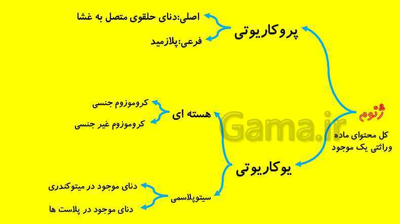 پاورپوینت آموزش کتاب درسی زیست شناسی دوازدهم | فصل 4: تغییر در اطلاعات وراثتی- پیش نمایش