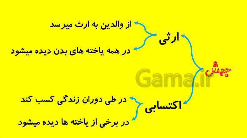 پاورپوینت آموزش کتاب درسی زیست شناسی دوازدهم | فصل 4: تغییر در اطلاعات وراثتی- پیش نمایش