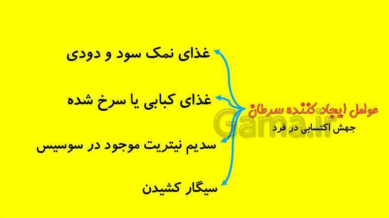 پاورپوینت آموزش کتاب درسی زیست شناسی دوازدهم | فصل 4: تغییر در اطلاعات وراثتی- پیش نمایش