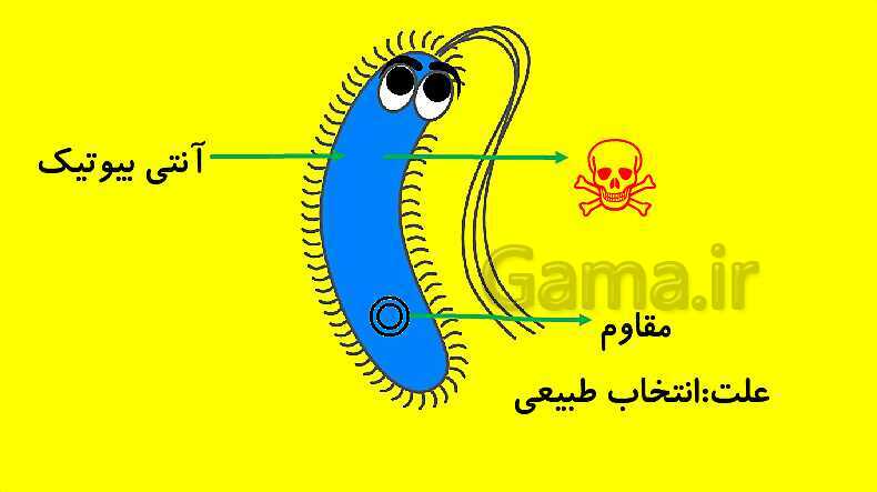 پاورپوینت آموزش کتاب درسی زیست شناسی دوازدهم | فصل 4: تغییر در اطلاعات وراثتی- پیش نمایش