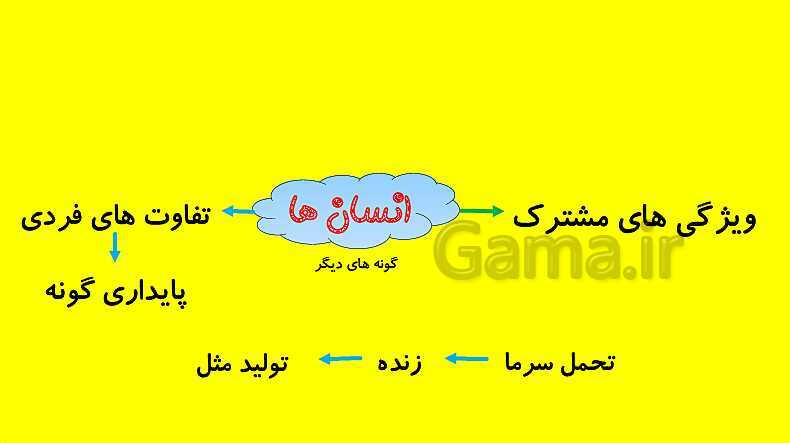پاورپوینت آموزش کتاب درسی زیست شناسی دوازدهم | فصل 4: تغییر در اطلاعات وراثتی- پیش نمایش