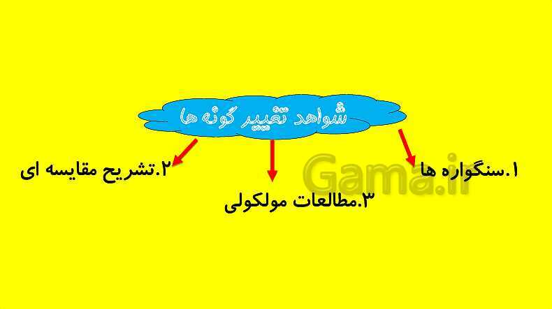 پاورپوینت آموزش کتاب درسی زیست شناسی دوازدهم | فصل 4: تغییر در اطلاعات وراثتی- پیش نمایش