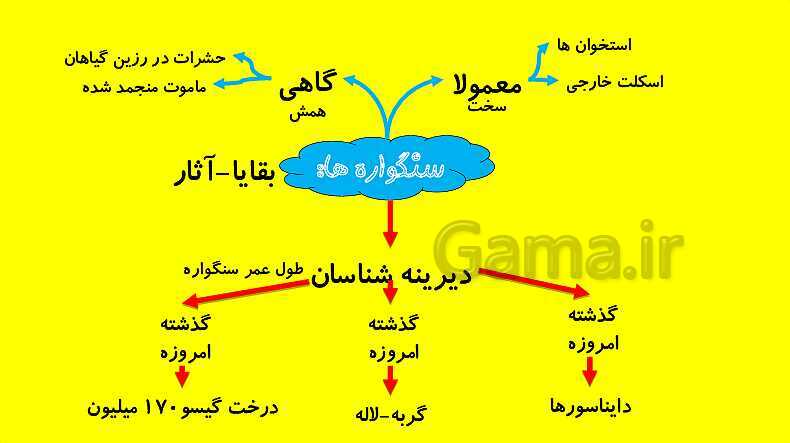 پاورپوینت آموزش کتاب درسی زیست شناسی دوازدهم | فصل 4: تغییر در اطلاعات وراثتی- پیش نمایش