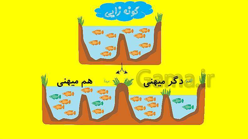 پاورپوینت آموزش کتاب درسی زیست شناسی دوازدهم | فصل 4: تغییر در اطلاعات وراثتی- پیش نمایش