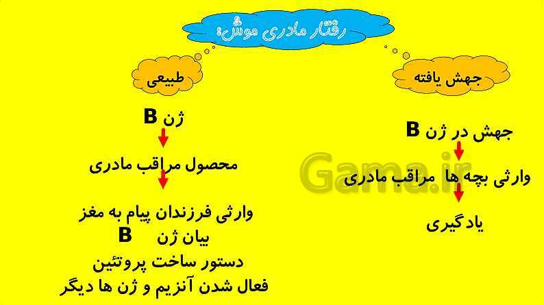 پاورپوینت آموزش کتاب درسی زیست شناسی دوازدهم | فصل 8: رفتارهای جانوران- پیش نمایش