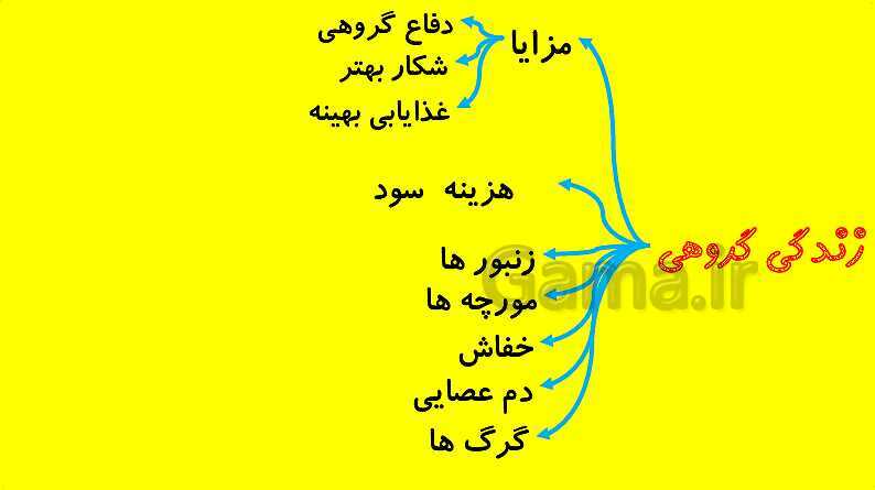 پاورپوینت آموزش کتاب درسی زیست شناسی دوازدهم | فصل 8: رفتارهای جانوران- پیش نمایش
