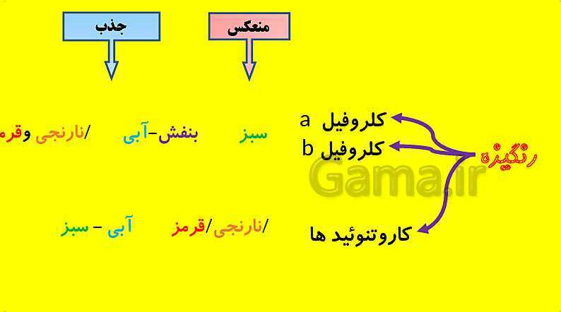 پاورپوینت آموزش کتاب درسی زیست شناسی دوازدهم | فصل 6: از انرژی به ماده- پیش نمایش