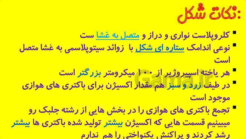 پاورپوینت آموزش کتاب درسی زیست شناسی دوازدهم | فصل 6: از انرژی به ماده- پیش نمایش