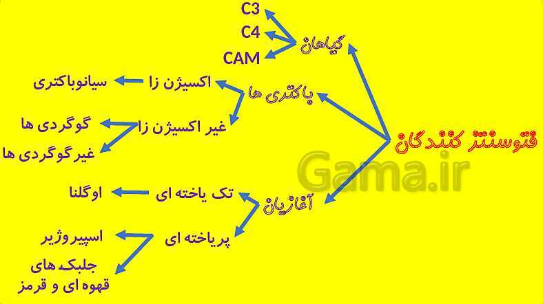 پاورپوینت آموزش کتاب درسی زیست شناسی دوازدهم | فصل 6: از انرژی به ماده- پیش نمایش