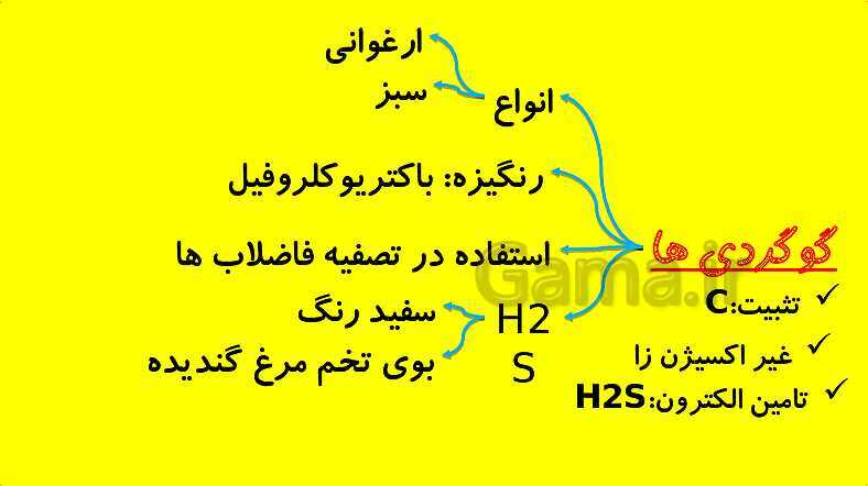 پاورپوینت آموزش کتاب درسی زیست شناسی دوازدهم | فصل 6: از انرژی به ماده- پیش نمایش