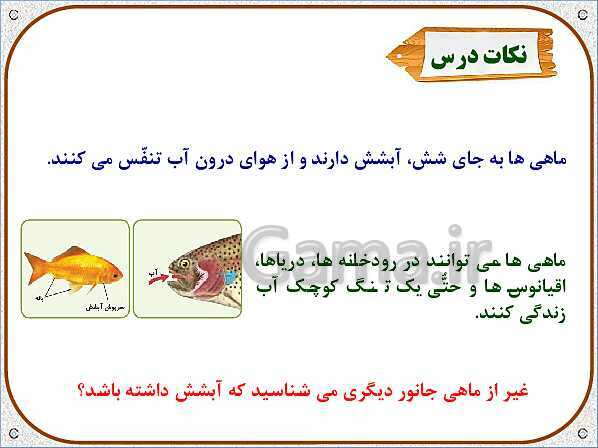 پاورپوینت علوم تجربی سوم دبستان | درس 12: هر کدام جای خود (1)- پیش نمایش