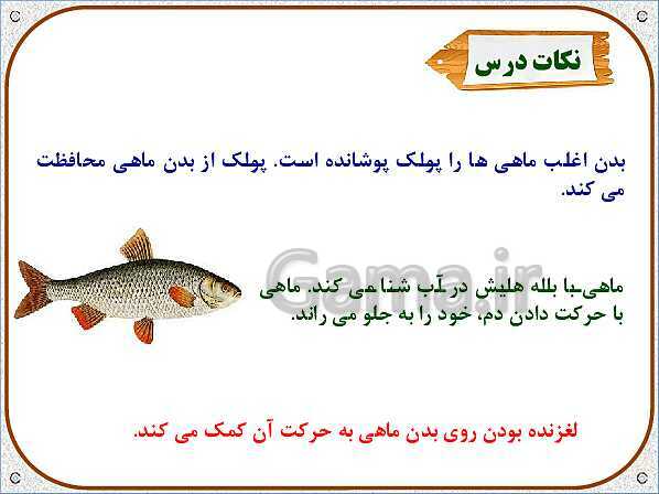 پاورپوینت علوم تجربی سوم دبستان | درس 12: هر کدام جای خود (1)- پیش نمایش
